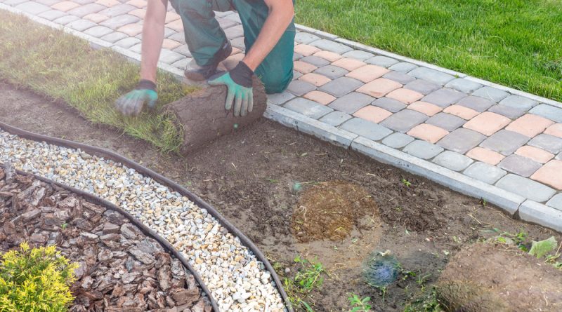 Man laying turf rolls in garden