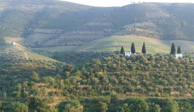 Landscape image of Douro Valley to support natural home article