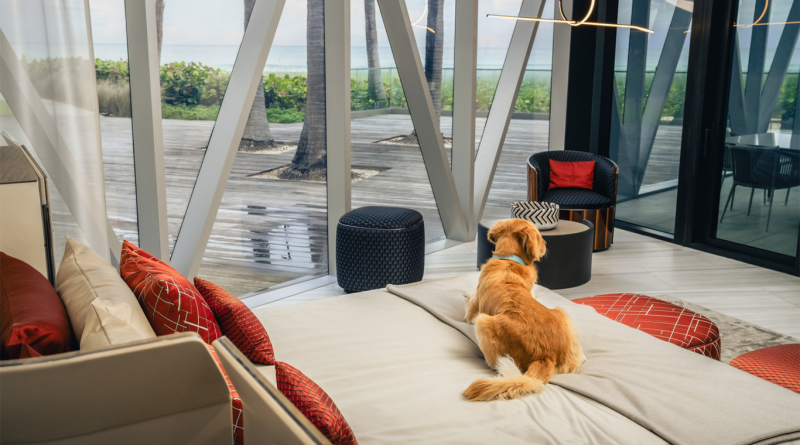 Dog relaxing on bed in Bentley Residences Miami