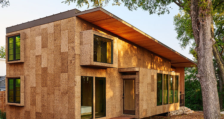 ‘Plant-Based’ Cabin In Austin