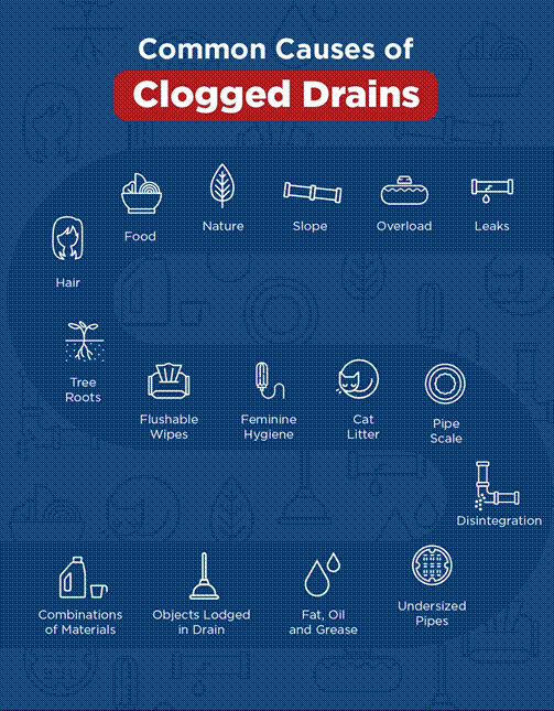 Mr.Rooter of Greater Syracuse Common Causes of Clogged Drains infographic