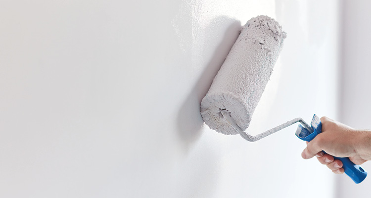 An individual is holding a paint roller with a blue handle and applying white paint to a wall